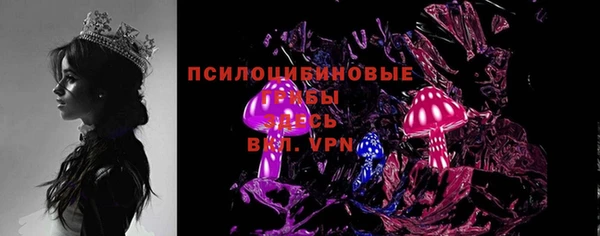 дживик Верея