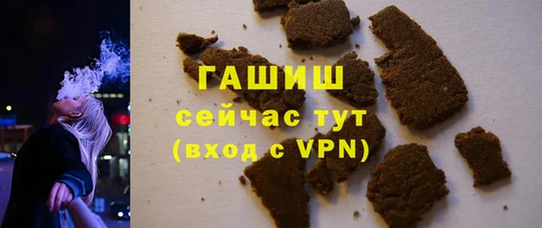 гидра Богданович