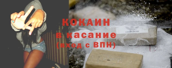 гидра Богданович