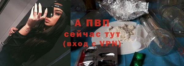 ECSTASY Богородск