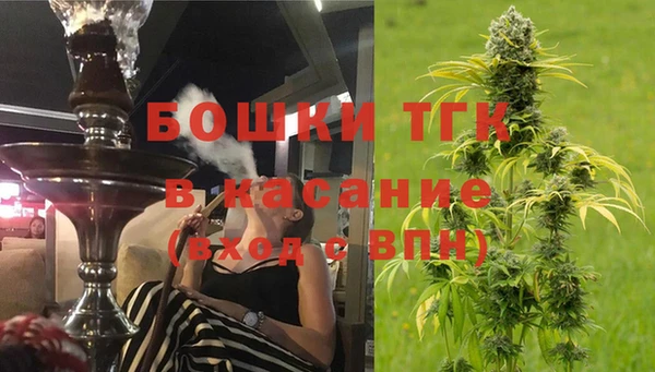 гидра Богданович