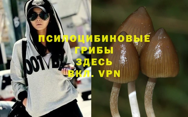 гидра Богданович