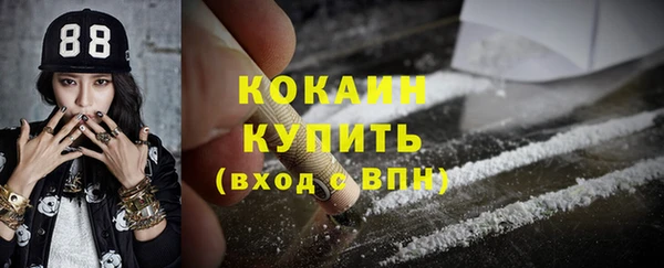 гидра Богданович