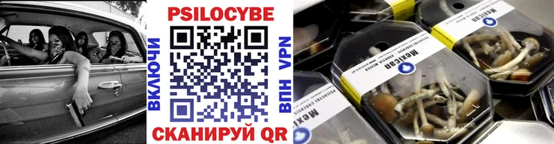 Псилоцибиновые грибы GOLDEN TEACHER  Духовщина 