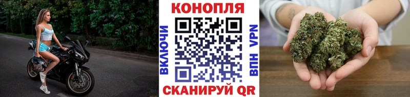 Шишки марихуана марихуана  продажа наркотиков  ссылка на мегу ссылки  Духовщина 